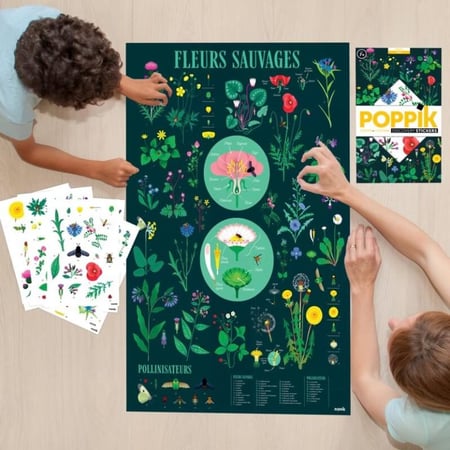 Poster découverte avec stickers Botanique