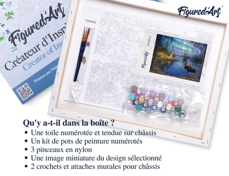 Peinture par Numéro Figured'Art avec Cadre - Elan et aurore boréale - Kit de Loisir Créatif DIY Numéro d'Art - 40x50cm toile tendue sur châssis