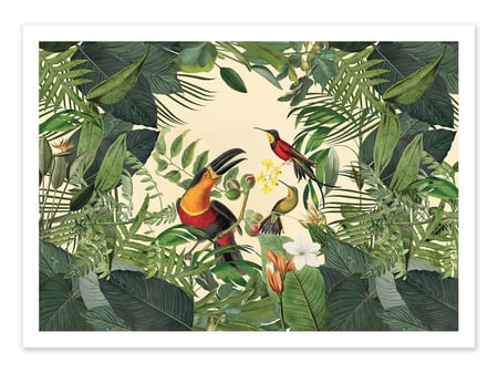 Affiche 30 x 40 cm - Tropical Jungle Toucan - Andrea Haase