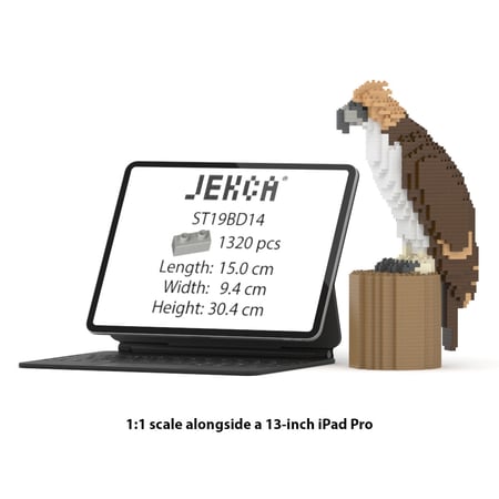 media/mkp/2bbf70cce99e4e28a91bd7438efba673