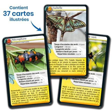 media/mkp/2dcdb47aff2e4d95970495e6cc937e50
