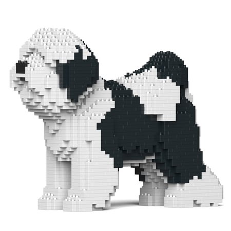 Chien Terrier Tibétain noir Taille standard | JEKCA | 14 ans et +
