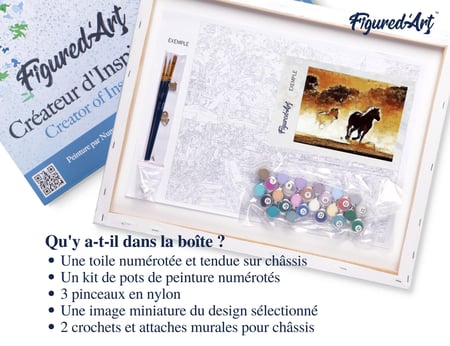 Peinture par Numéro Figured'Art avec Cadre - Chevaux en action - Kit de Loisir Créatif DIY Numéro d'Art Complet - 40x50cm toile tendue sur châssis
