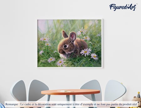 Peinture par Numéro Figured'Art - Lapin et marguerites - Kit de Loisir Créatif DIY Numéro d'Art Complet - 40x50cm sans châssis en bois