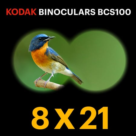 media/mkp/3184448596cf447aa7a5b31b4cd45dd4