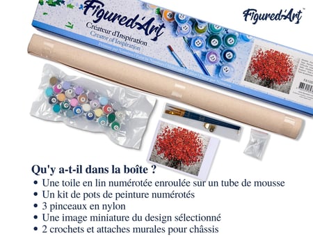 Peinture par Numéro Figured'Art - Fleurs rouges abstraites - Kit de Loisir Créatif DIY Numéro d'Art Complet - 40x50cm sans châssis en bois