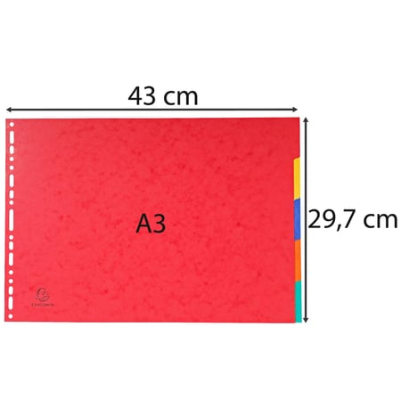 media/mkp/393406d0ff344f0ba8b1211665d9137a