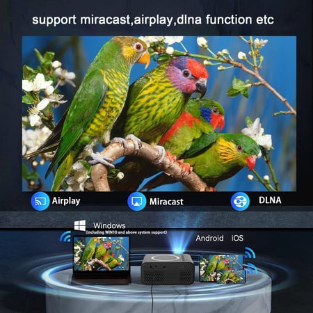 media/mkp/3ae6009e130b4d5eb64a6dbfbe5daa0c_50948
