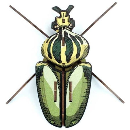 Trophée Insecte - Globulus Giganticus
