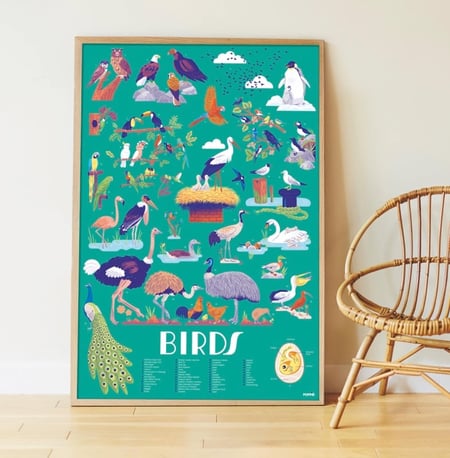 Poster découverte avec stickers Oiseaux