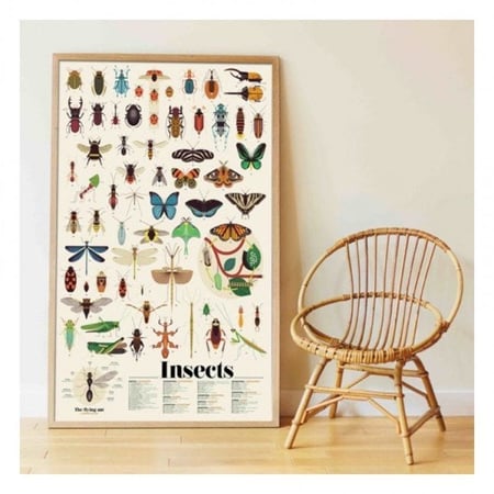 Poster découverte avec stickers insectes