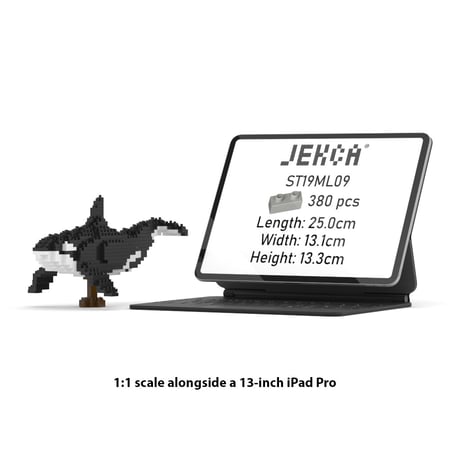 media/mkp/42c3701b19444243a4b1546f9d5907be