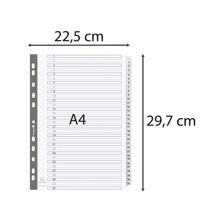 media/mkp/438b103fac154e828d641d6bdc6ef062