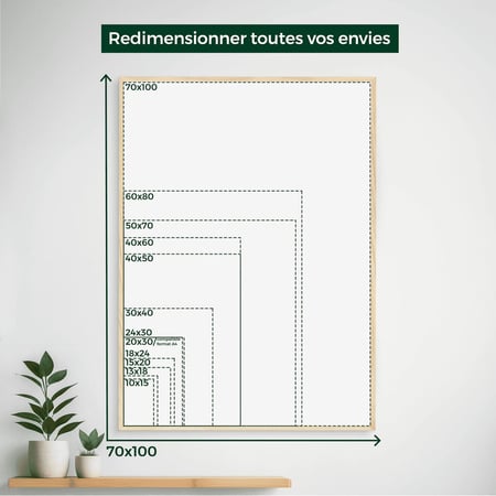 media/mkp/46ab29dc330e4f9399a027a110278f59