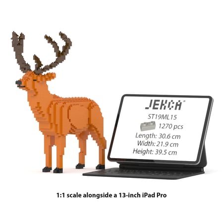 media/mkp/485e64929e4642029b810bfd2796e9a8