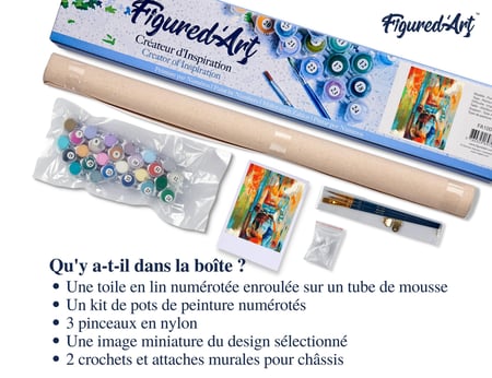 Peinture par Numéro Figured'Art - Beauté en couleurs - Kit de Loisir Créatif DIY Numéro d'Art Complet - 40x50cm sans châssis en bois