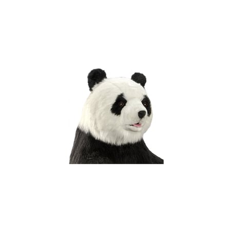 media/mkp/4aced0dfdac34357b29bdce8f03d63bf