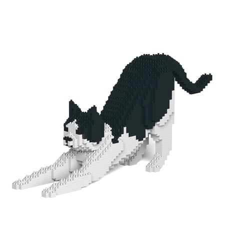 Chat Calico noir qui s'étire | JEKCA | 14 ans et +