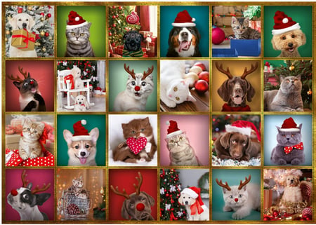 Puzzle 42 pièces - Calendrier De L'Avent Animaux - Trefl