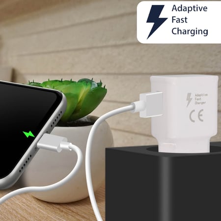 Avizar Chargeur Secteur USB-C et Câble Lightning Charge Rapide