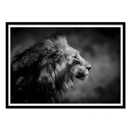 media/mkp/4fe106ee7db046c3abaed34a23194c02