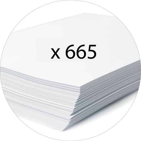 media/mkp/544873c8ecef4cd689e5144668c11556