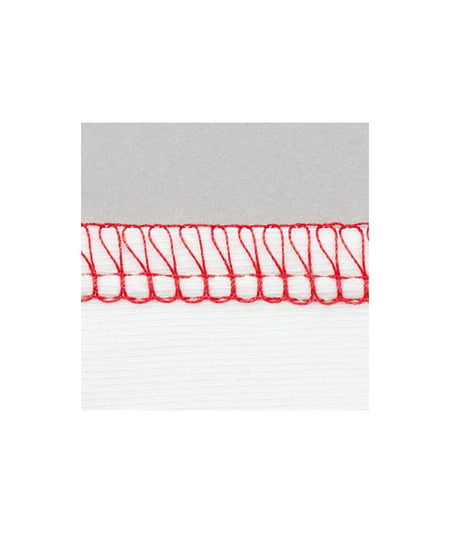 Cahier De Maîtrise Bernina L860/L890 - Bobine Reliée - 39 Pages - Neuf