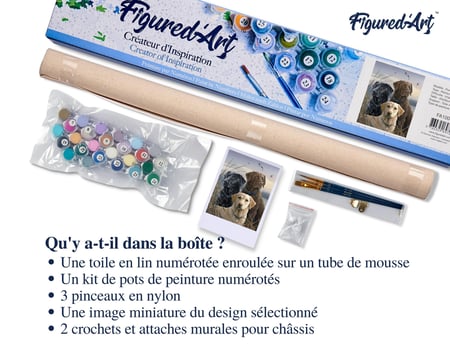 Peinture par Numéro Figured'Art - Trio de labrador - Kit de Loisir Créatif DIY Numéro d'Art Complet - 40x50cm sans châssis en bois