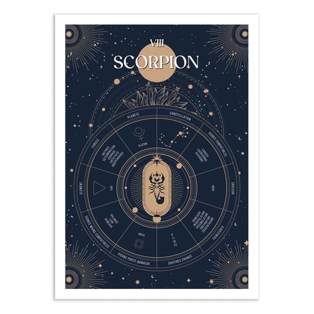 Affiche 50x70 cm - Scorpion Signe du Zodiac - Frog Posters