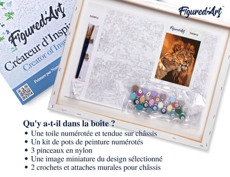 Peinture par Numéro Figured'Art avec Cadre - Couple Lion et Lionne - Kit de Loisir Créatif DIY Numéro d'Art - 40x50cm toile tendue sur châssis