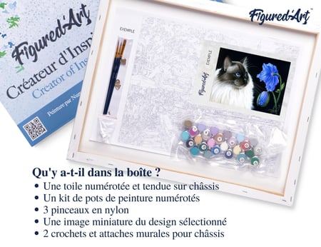 Peinture par Numéro Figured'Art avec Cadre - Face à face floral - Kit de Loisir Créatif DIY Numéro d'Art Complet - 40x50cm toile tendue sur châssis