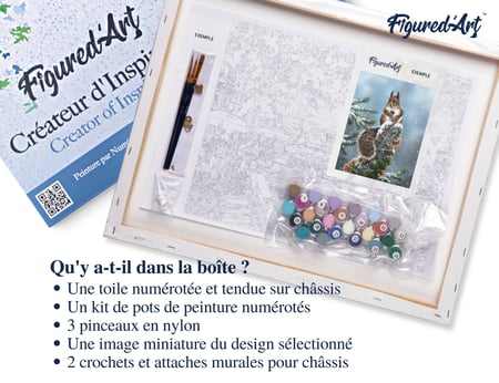 Peinture par Numéro Figured'Art avec Cadre - Ecureuil perché - Kit de Loisir Créatif DIY Numéro d'Art Complet - 40x50cm toile tendue sur châssis