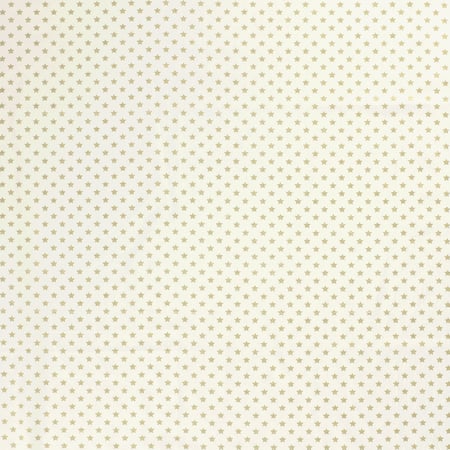 media/mkp/69c50465a8964cc59e3506c353b3fec7