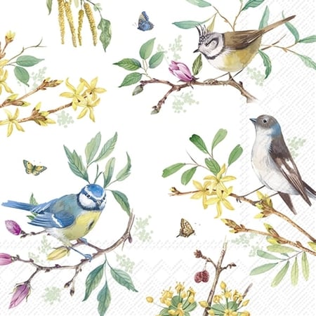 Lot de 4 serviettes en papier découpage collage 33 cm OISEAUX BRANCHE DE FLEURS O 404