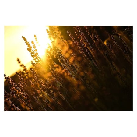 media/mkp/6acbcbfdd7b54298b6d0417747df3bc0