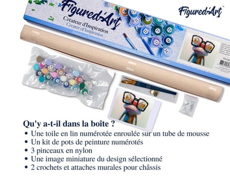 Peinture par Numéro Figured'Art - Grenouille et Lunettes - Kit de Loisir Créatif DIY Numéro d'Art Complet - 40x50cm sans châssis en bois