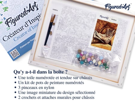 Peinture par Numéro Figured'Art avec Cadre - Chat Connaisseur - Kit de Loisir Créatif DIY Numéro d'Art Complet - 40x50cm toile tendue sur châssis