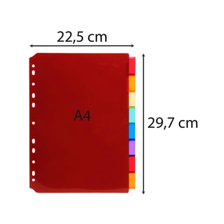 media/mkp/713381e884a54f0cbd6d989d7b2e6966
