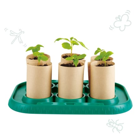Serre pour apprentis jardiniers