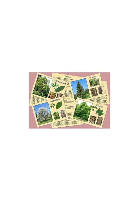media/mkp/77f7fa09621146d5bd0a34ccb9d2c9ca