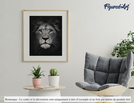 Peinture par Numéro Figured'Art - Tête de lion en noir et blanc - Kit de  Loisir Créatif DIY Numéro d'Art Complet - 40x50cm sans châssis en bois - Peintures  par numéro