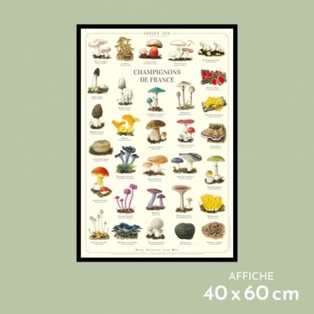 media/mkp/7a4e7e5544c34d44b53a02e950f824b0_37b09