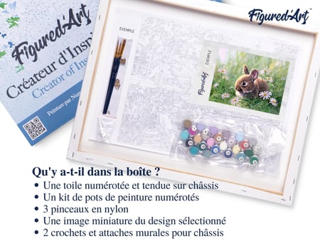 Peinture par Numéro Figured'Art avec Cadre - Lapin et marguerites - Kit de Loisir Créatif DIY Numéro d'Art - 40x50cm toile tendue sur châssis