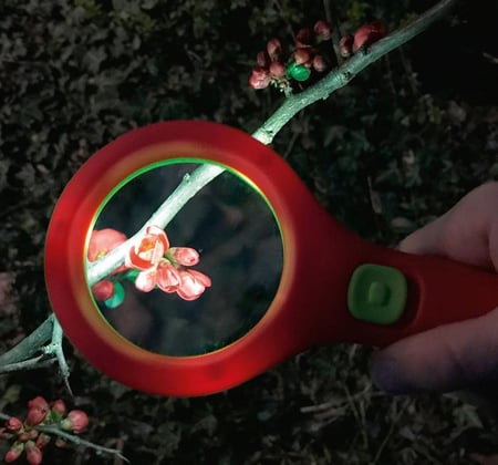 Loupe lumineuse avec leds