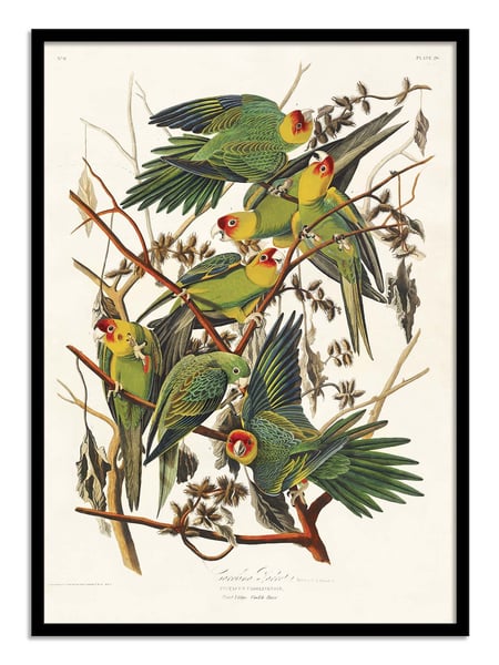 media/mkp/7ba6d2e78395402a86179ef6f4b712de