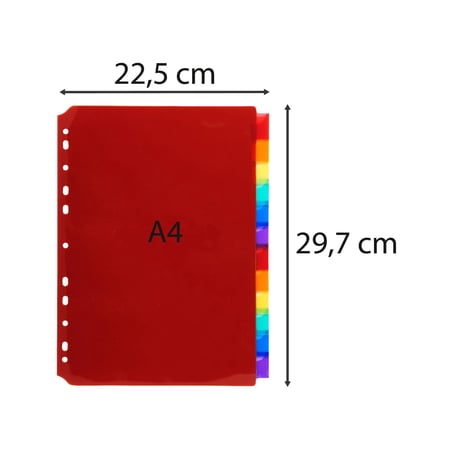 media/mkp/7cbfd36d5937463cb881f5a197bd6d6e