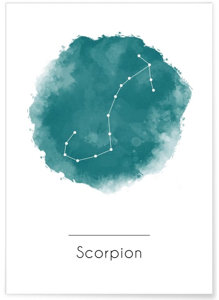 Affiche Scorpion | A3 : 29,7x42cm