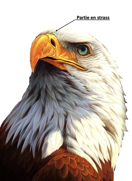 media/mkp/7d9263ab24bb4eb2828c42a043612fa1