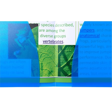 media/mkp/81fe8473bddb4d6da6de2c0beca48ece