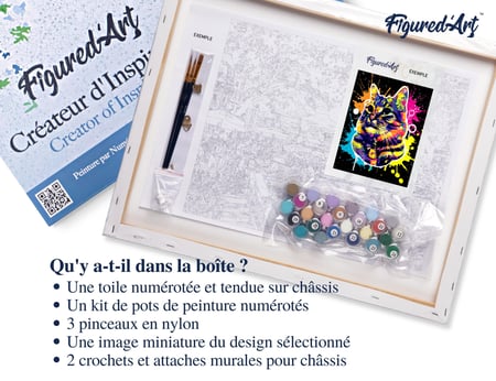 Peinture par Numéro Figured'Art avec Cadre - Chat Splash Pop Art - Kit de Loisir Créatif DIY Numéro d'Art Complet - 40x50cm toile tendue sur châssis